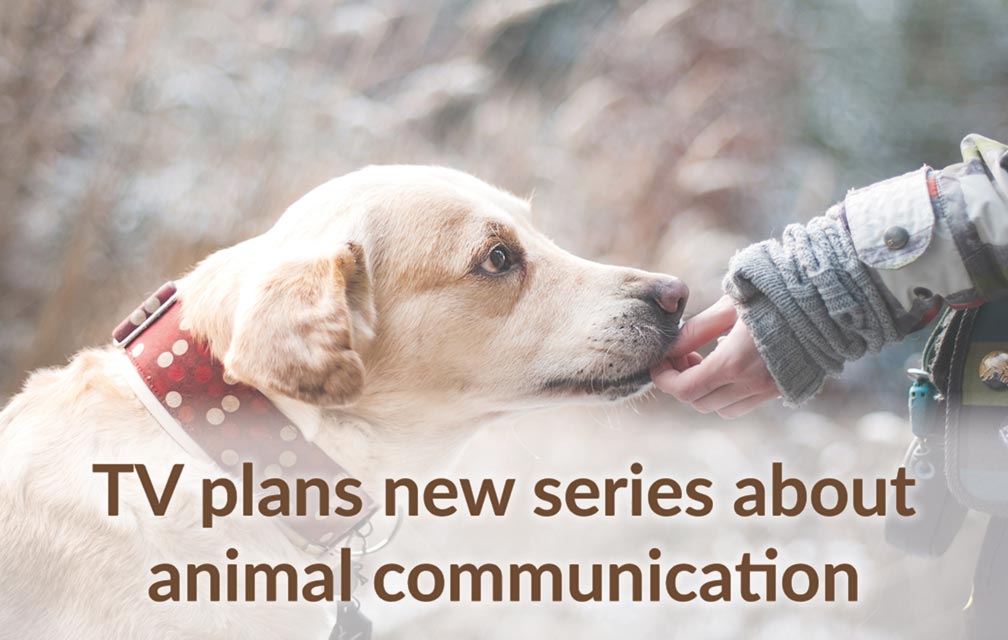TV plans new series about animal communication