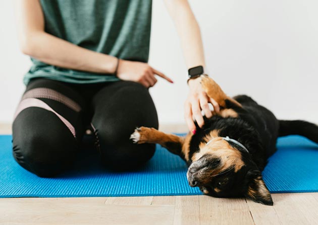 “People are overtaken by a wave of emotion after experiencing sensations of wellbeing from the close proximity to the puppies...” (Photo: Karolina Kaboompics)