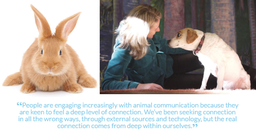 “People are engaging increasingly with animal communication because they are keen to feel a deep level of connection. We’ve been seeking connection in all the wrong ways, through external sources and technology, but the real connection comes from deep within ourselves.”