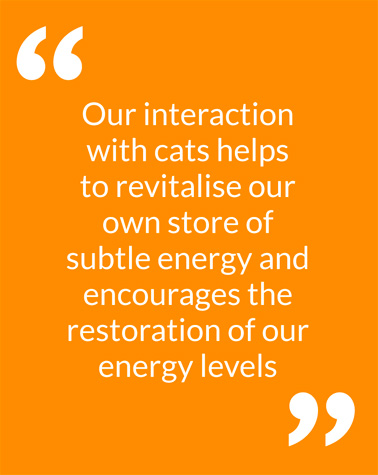 Our interaction with cats helps to revitalise our own store of subtle energy and encourages the restoration of our energy levels